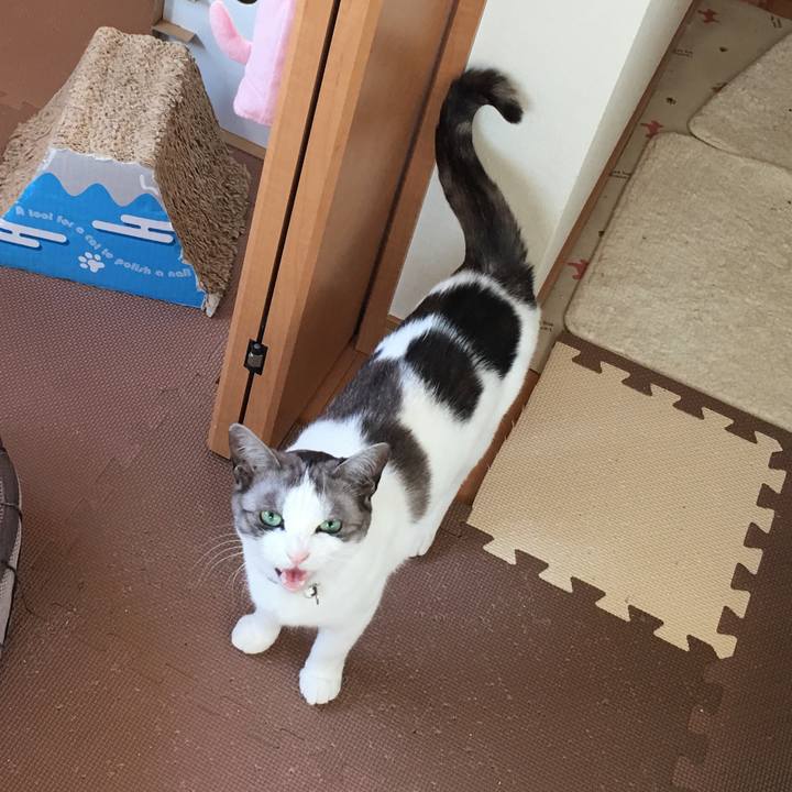 9505b1e3 93a8 4e97 b246 2cff2594446c