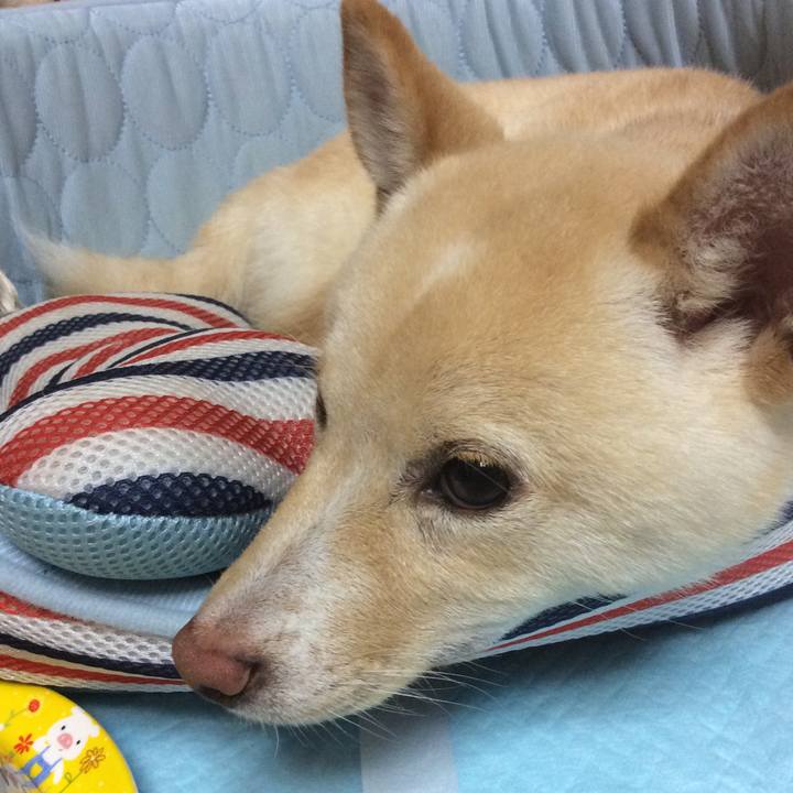 950665d5 50a3 4e6f 9da6 ba04bb7e45da