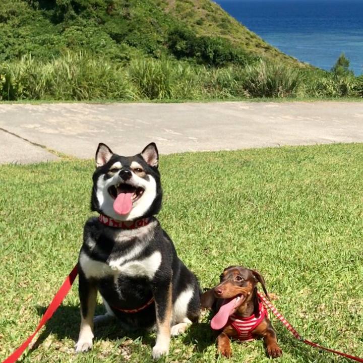 95067ed0 2b74 4d27 8d74 9406917fa9fa