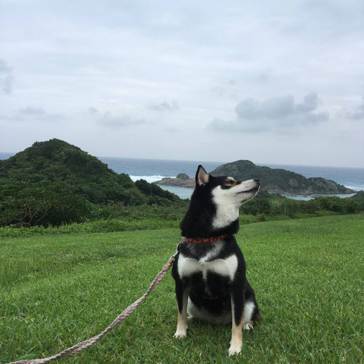 950707a0 8502 4150 b36e 0718079d8aaa