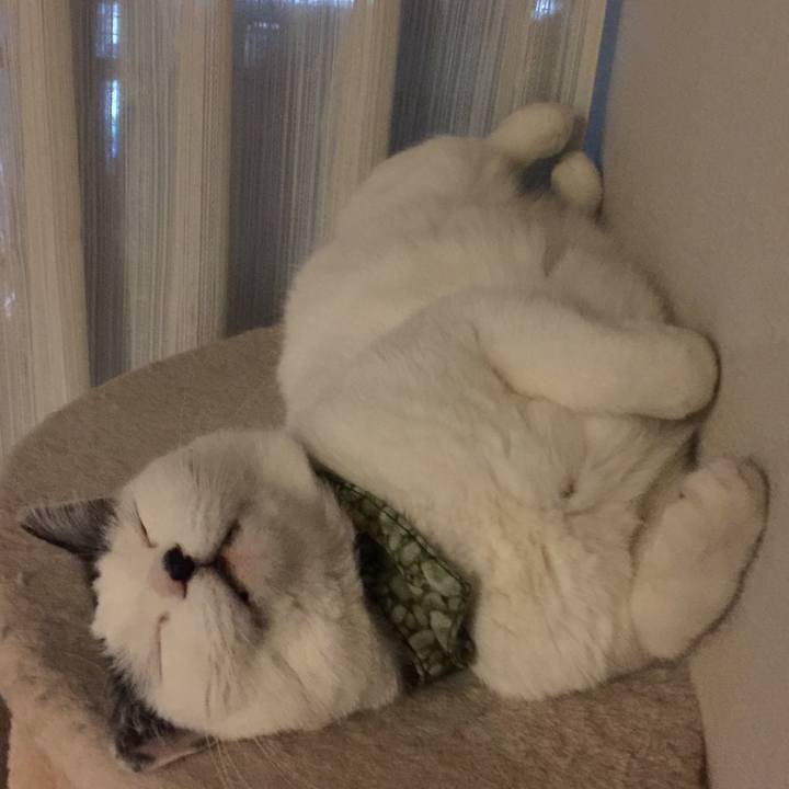 95083448 a401 407c 9349 1838a857d1ea