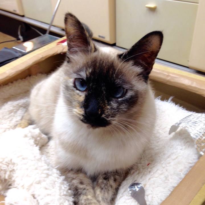 95085f2a e190 4912 ac90 f79850b0ee3f