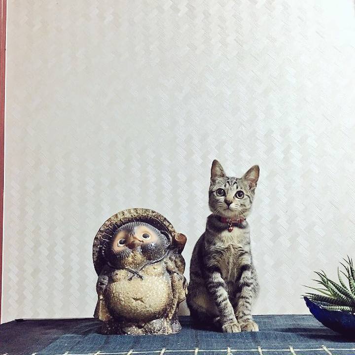 9508cd34 e29d 4734 a141 b5d75edd4cfd