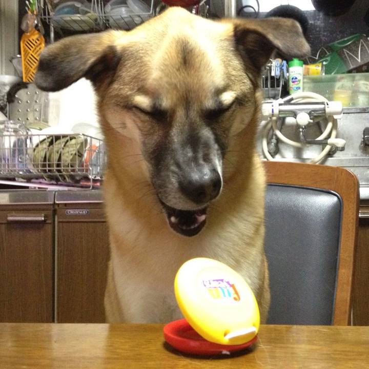 95095e13 0b06 445a aeb6 779126d5ad57