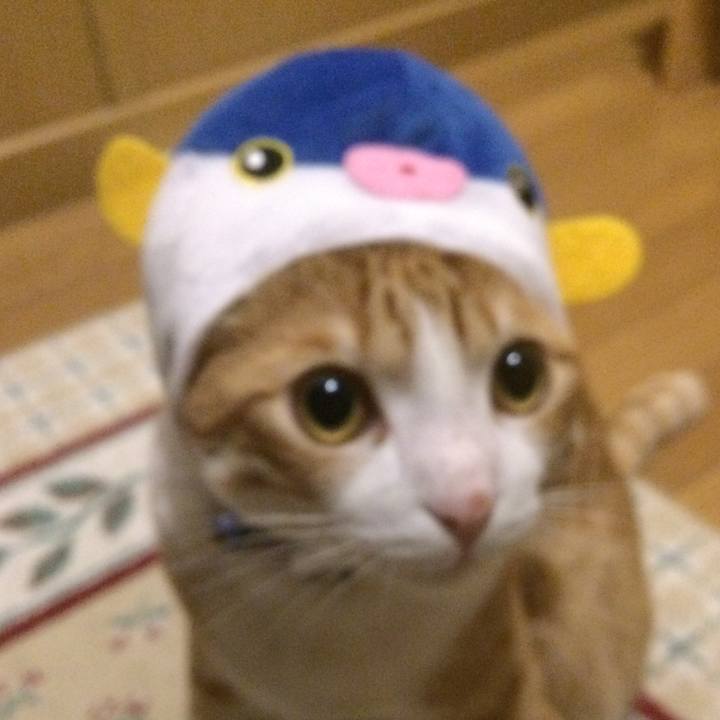 950a55b0 5271 4630 aec6 8bf2474bed4e