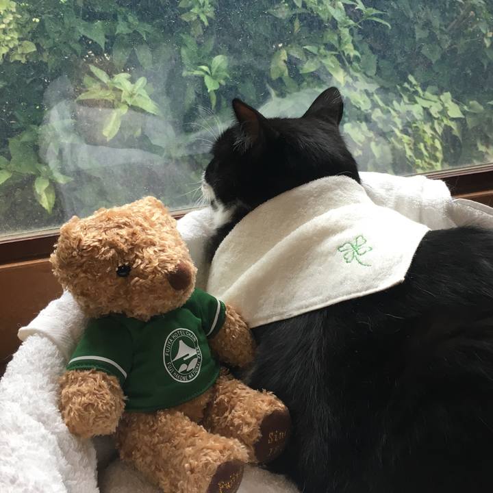 950ba54c f058 42a4 b687 35edb0344781