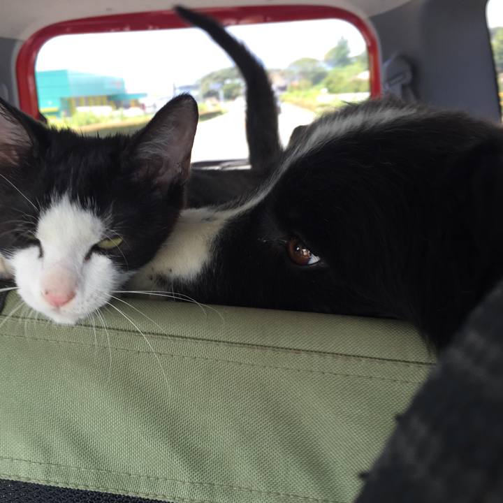 950be049 5237 44a6 945c 63e8b1aa8494