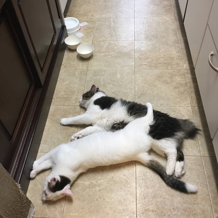 950c28d8 73ec 4d02 a460 095e4246a360