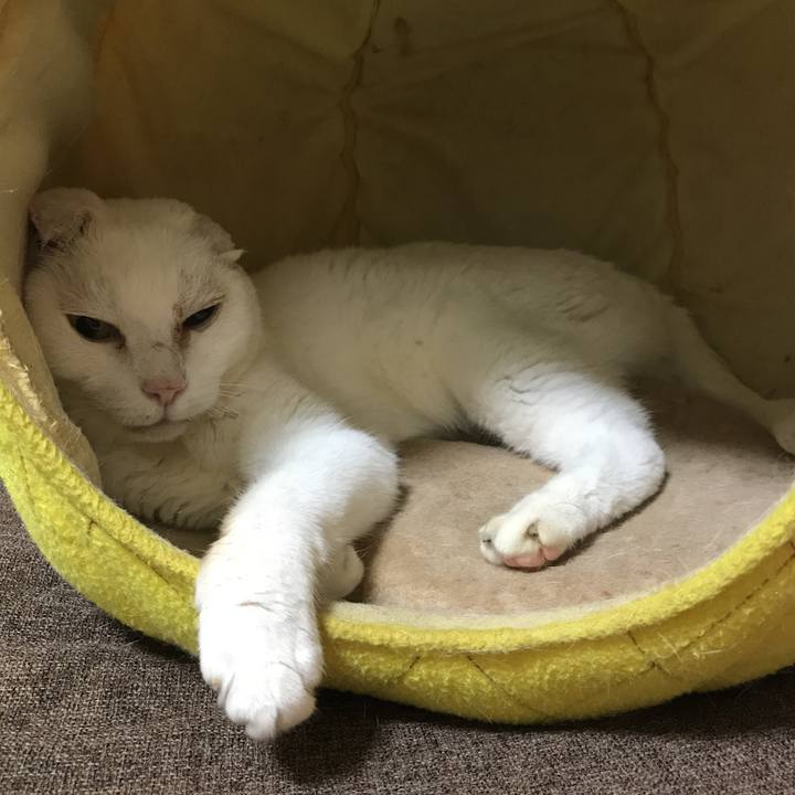 950cbb5e fe27 450b a06e b2e6081e3fa0