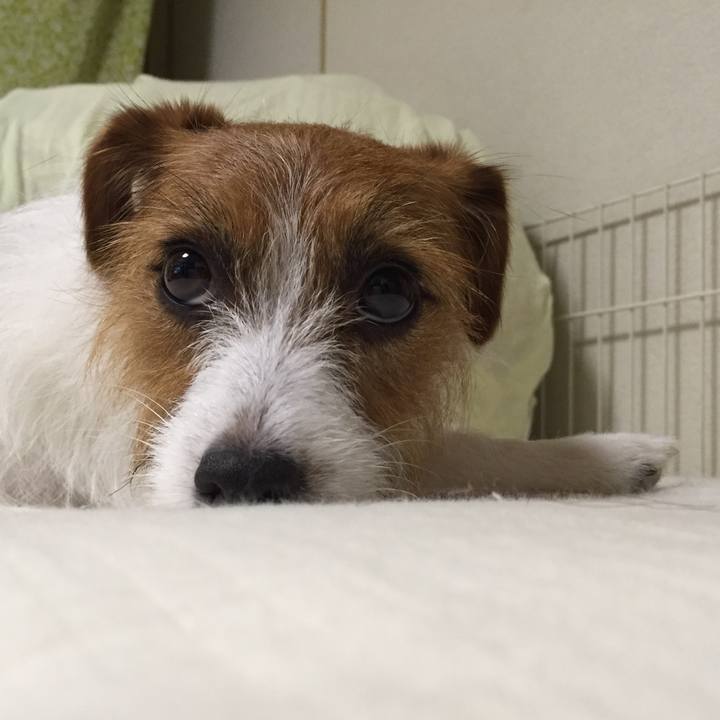 950de397 cbb2 4eb7 9914 e1f5f768ad20