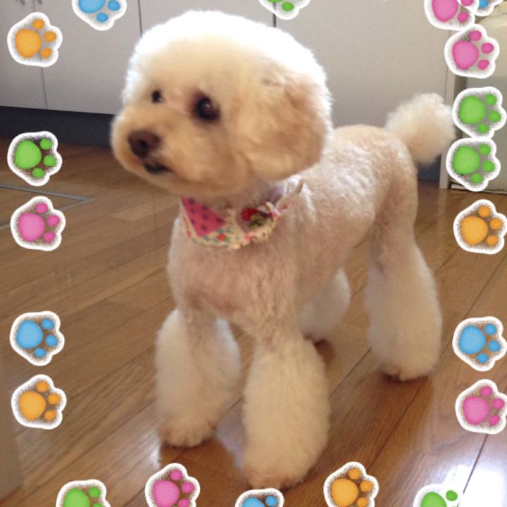 950e5ac4 00ea 4976 a91e c781606f1849