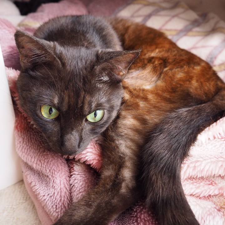 950e5c50 33b1 43ad 92d4 b1bce0fed81b