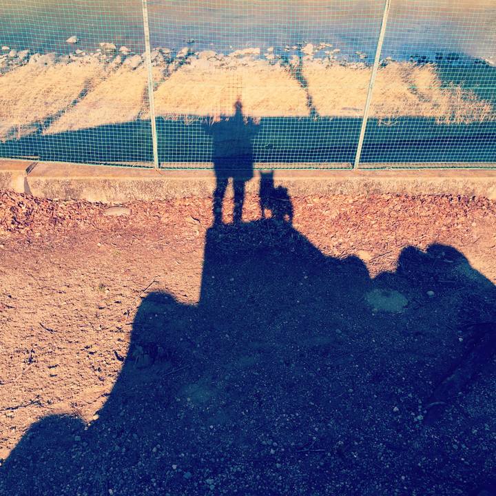 950ef989 4928 47c6 bf38 abe30d52d0da