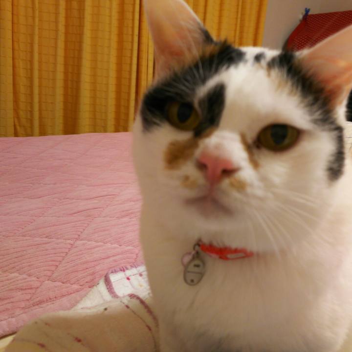 950f277b 3baf 41f6 854d c2704c2ba926