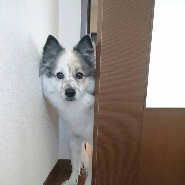 950f5715 5ad5 4502 88e4 01c11e59d6a0