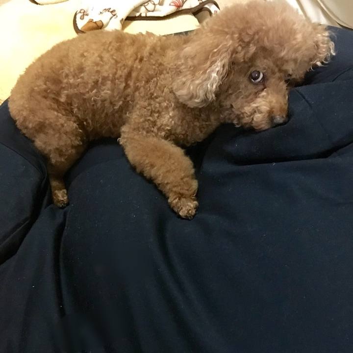 9510e6db 9154 4599 a87e 923e5ac347f4