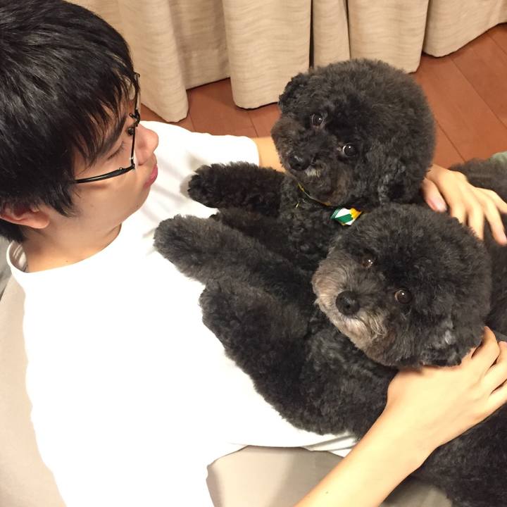 95114bc0 9919 41e8 8739 63a6f66976ba