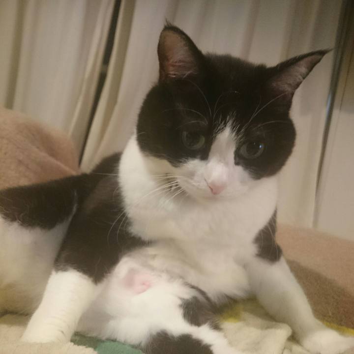 9511aedd 3740 42a3 b895 99d2cecd203b