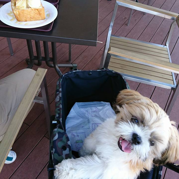 9511be86 5169 4ec5 97ae 9e4c05b474c3