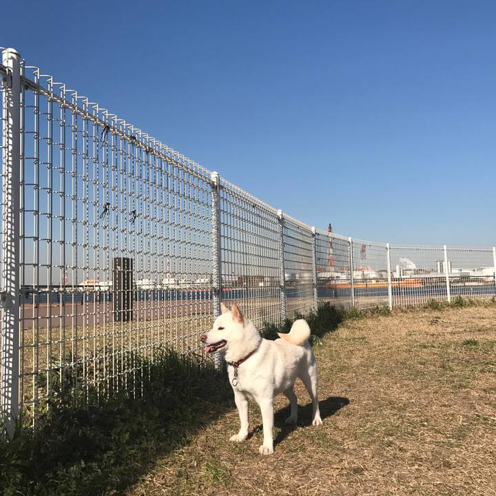 9512035f e5a1 4f83 9b4f b32155c054eb