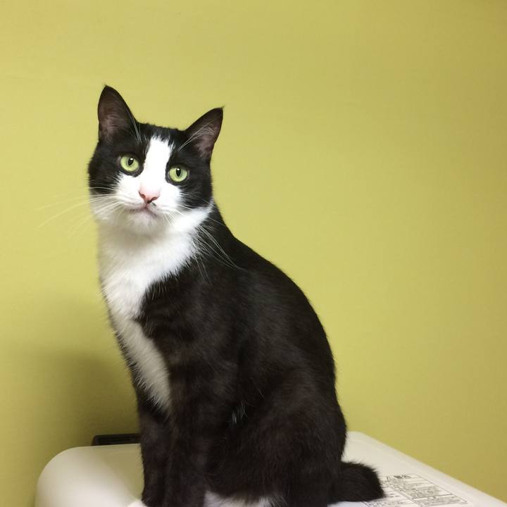 95121219 0c18 4209 abed aa23a02e6816