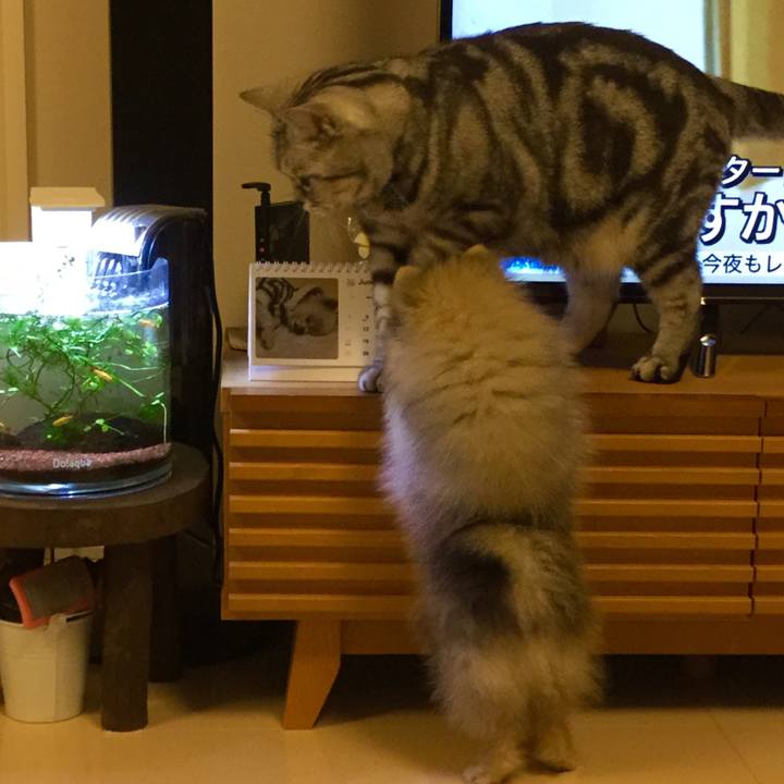 95129cfa 3bbb 461b 80cb 984816d43a84