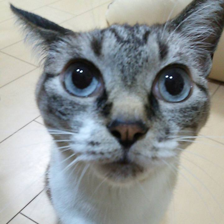 9512d3ef 6df3 4cad b3da ef44b8ec642b