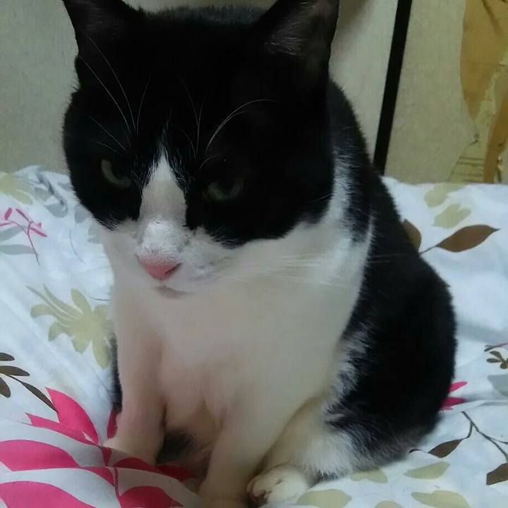 9512ee1b 8ef2 4f18 9955 56cf9c306058