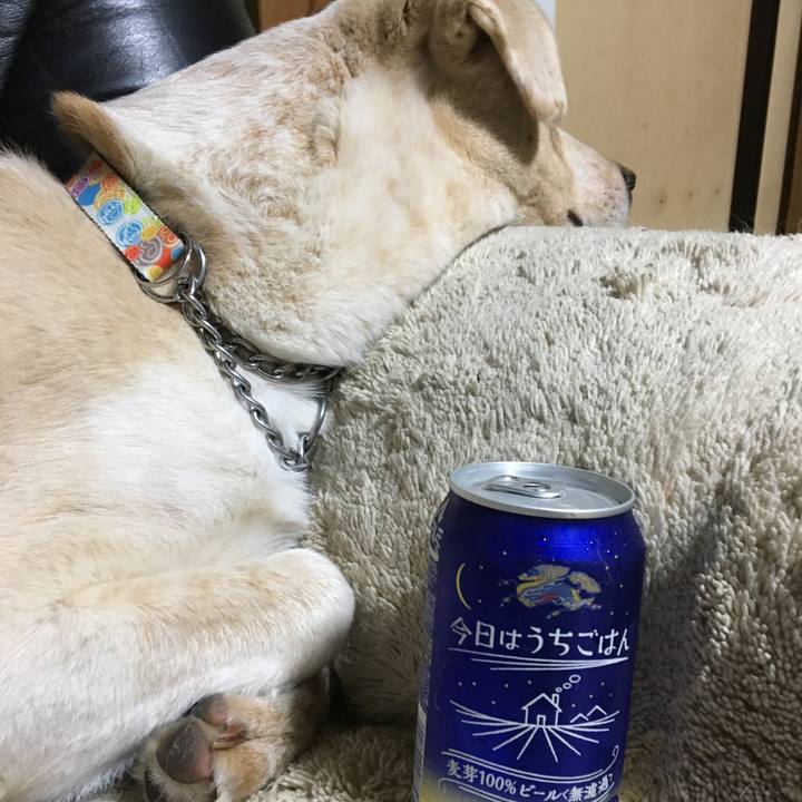 9513a58c 2c77 46c6 a847 a45a7dfedd33