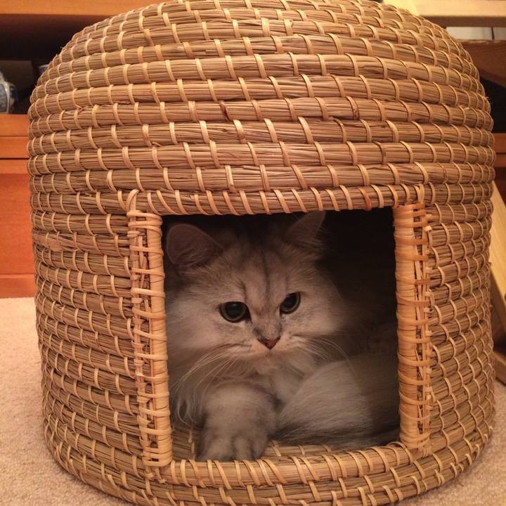 9513c027 ca9f 4bb6 94ef 6e7f7fa189f3