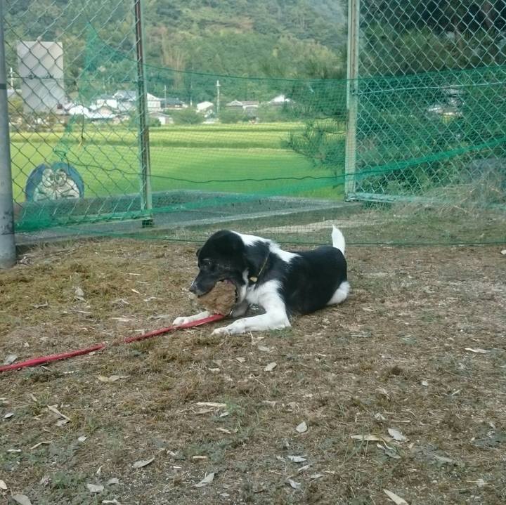 9514897b 38c2 4e98 b8f1 d6621cfbd296