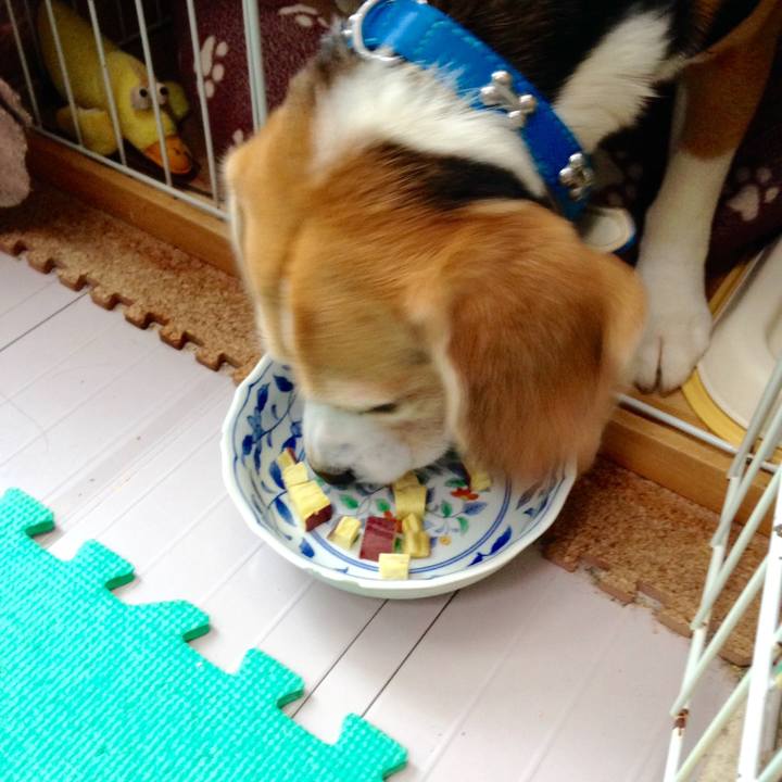 9514c592 c66d 4e8a b0dd 89e8c9d829da