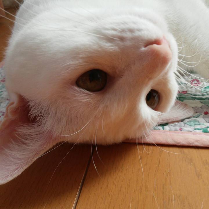 95155268 76d3 4376 87ed 6dcf3e33eb7d