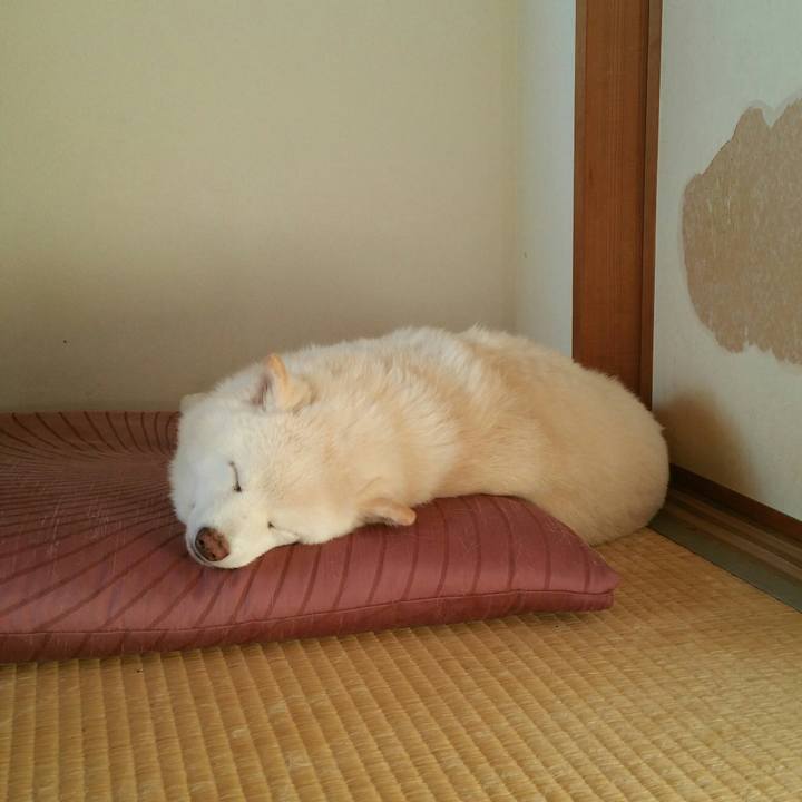 951574bf 291d 41de a448 84b866a5e25b