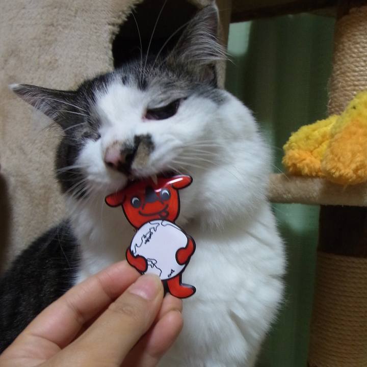 951594d5 0864 4425 a859 a5369128e2d9