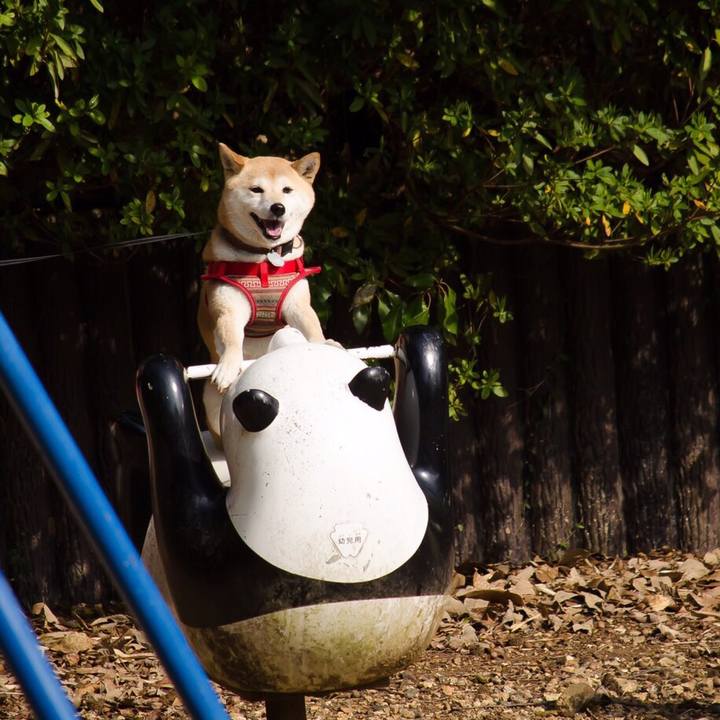 9515b269 cca0 49e3 a311 5284ae0f7876