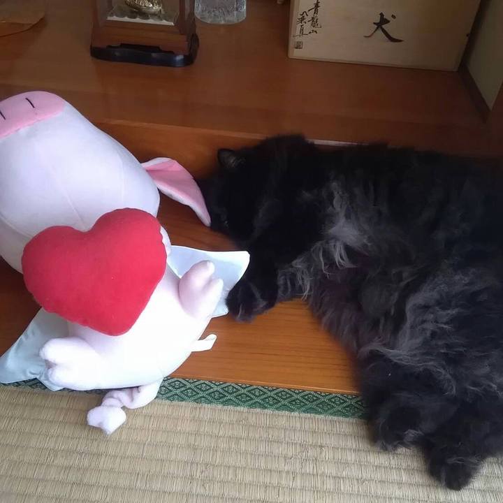 95169a17 030c 4c6c b672 33406445257c