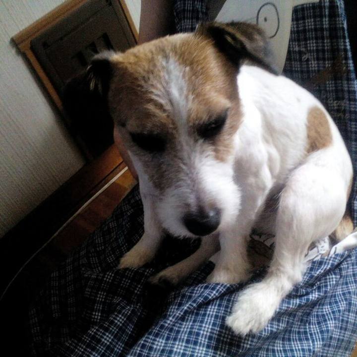 9516e4ed caca 4bb3 ad0f cd723b5ae32a