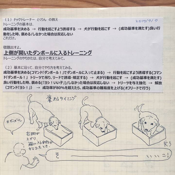 95174c96 dec7 484e 81b8 a7edc8bf42ec