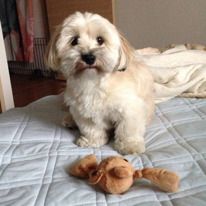 9517b8aa e2d7 4b96 8493 bdc9c85d146e