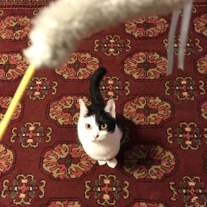 9517cc71 ef89 4a74 88e1 a2817a184dfc