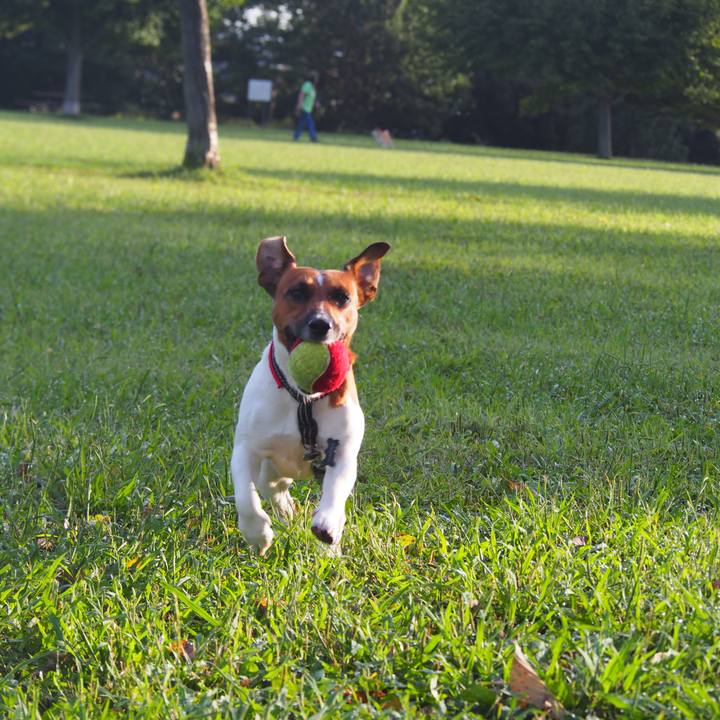 9517f031 92d6 4f0a 8bcd 1da1a2fa2fac