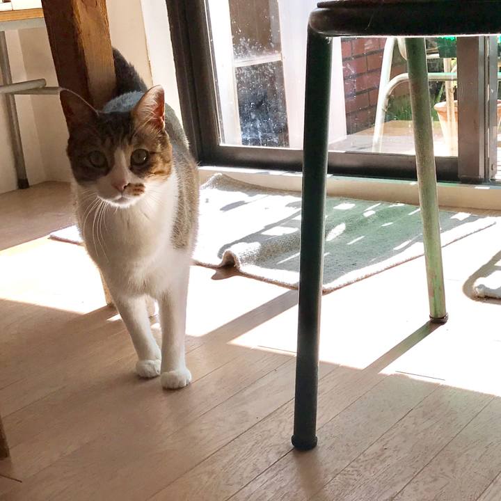 951842b4 57ed 4d7e 9664 f05dd6d822e3