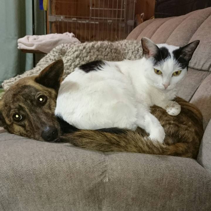 95189215 b62f 45f9 89ff 09e521452f08