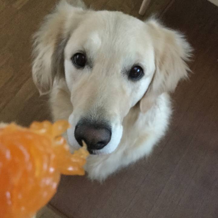 9518d4af 77da 499f b71f eea424a9d5d7