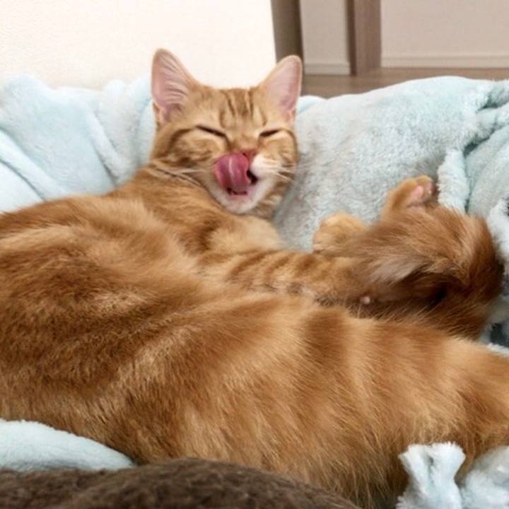 95191858 2500 4d69 af2d 3ae7a3ece84d