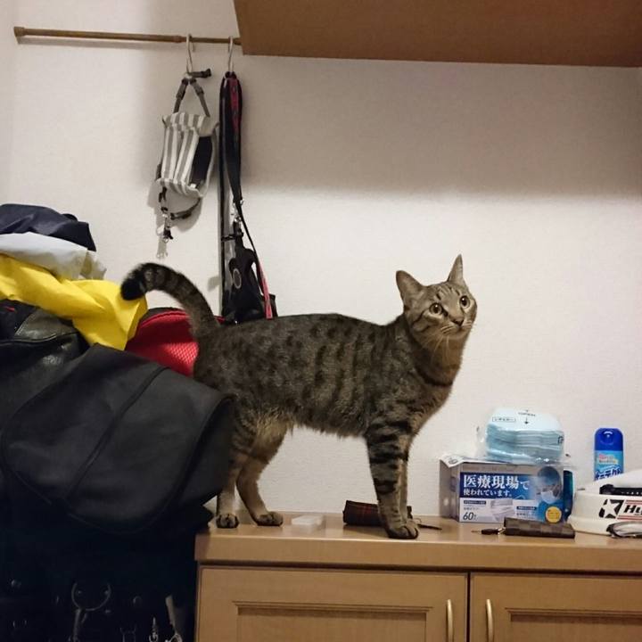 9519835d 1f1f 488a ba4e 10a2a5d51014