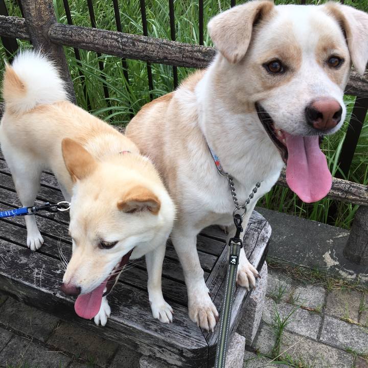 951b21cb 3057 4e20 97db 1a0299527ce4