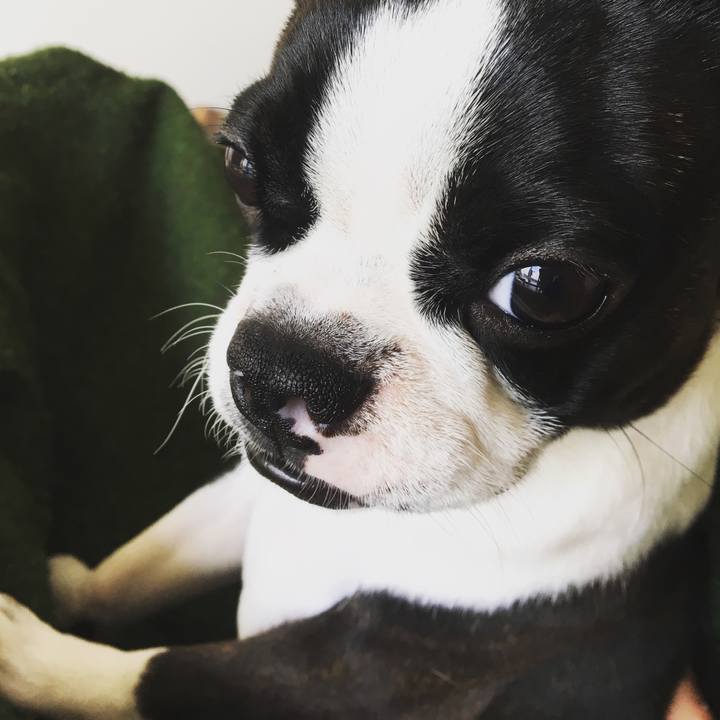 951bbea2 f840 4381 a299 5b47e3e0d857