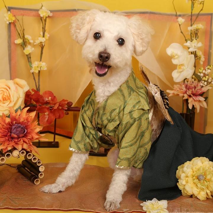 951d9062 d78d 4729 b00f 50bcb76c5d25